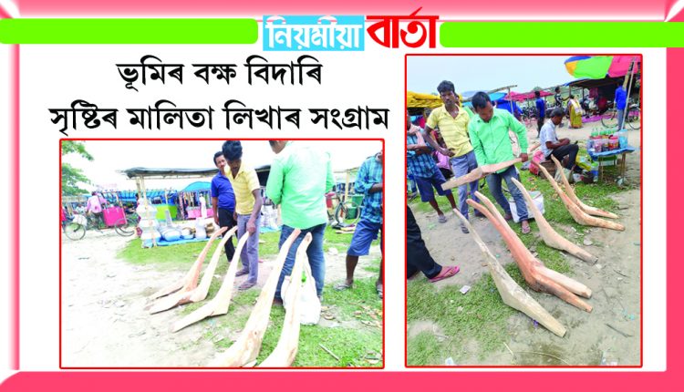 বিশ্বনাথৰ বজাৰত নাঙল বিচাৰি হাইৰান কৃষক