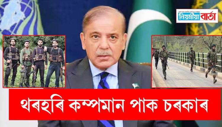 pakistab p-PM says for investigation for pehelgam attack