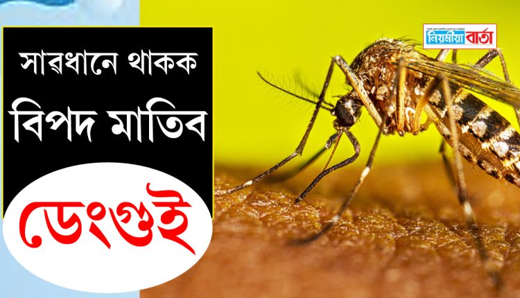 basic precautions for dengue