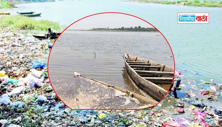 godabari river pollution
