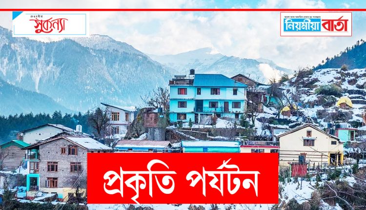manali simla tour