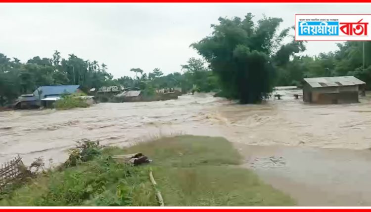neepco lakhimpur fllod