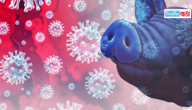 swine flu