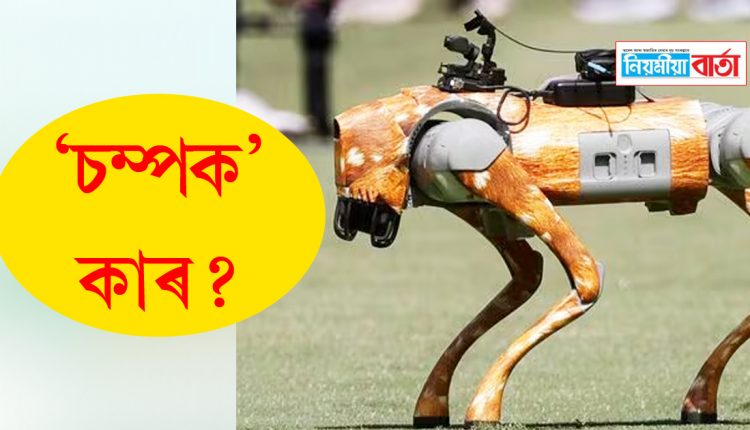 who is champak IPL