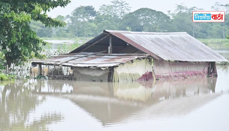 assam flood