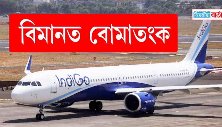indigo flight