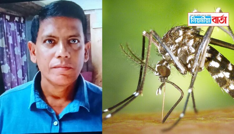 japanese encephalitis
