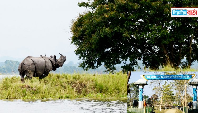 kaziranga expand