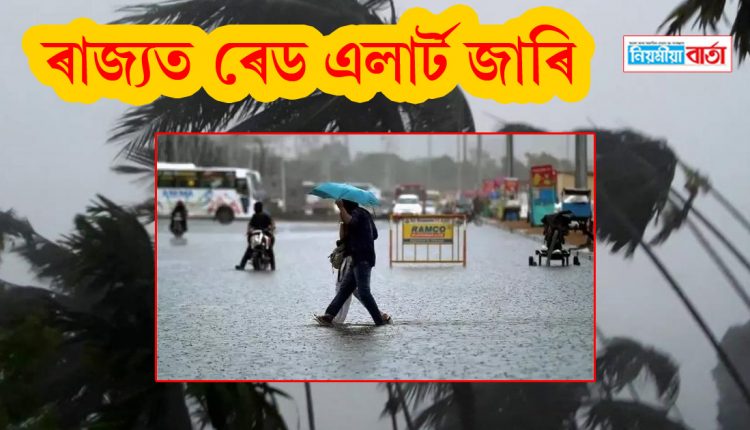 rain