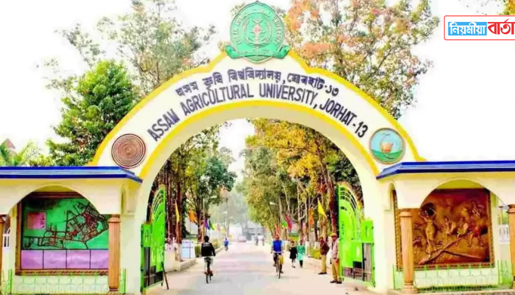 AAU