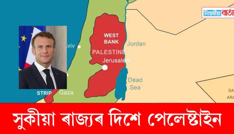 palestine3