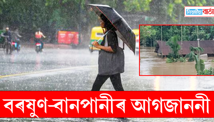 rainn