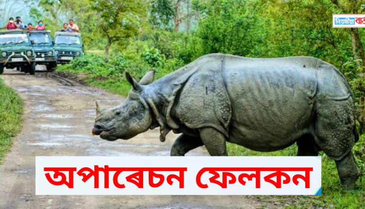rhino
