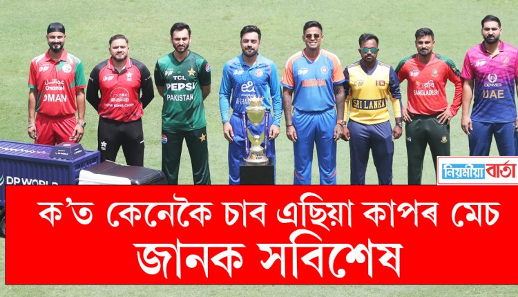 asia cups